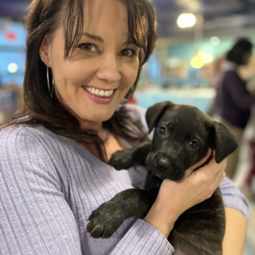 paint-with-puppies-cats-austin-sm